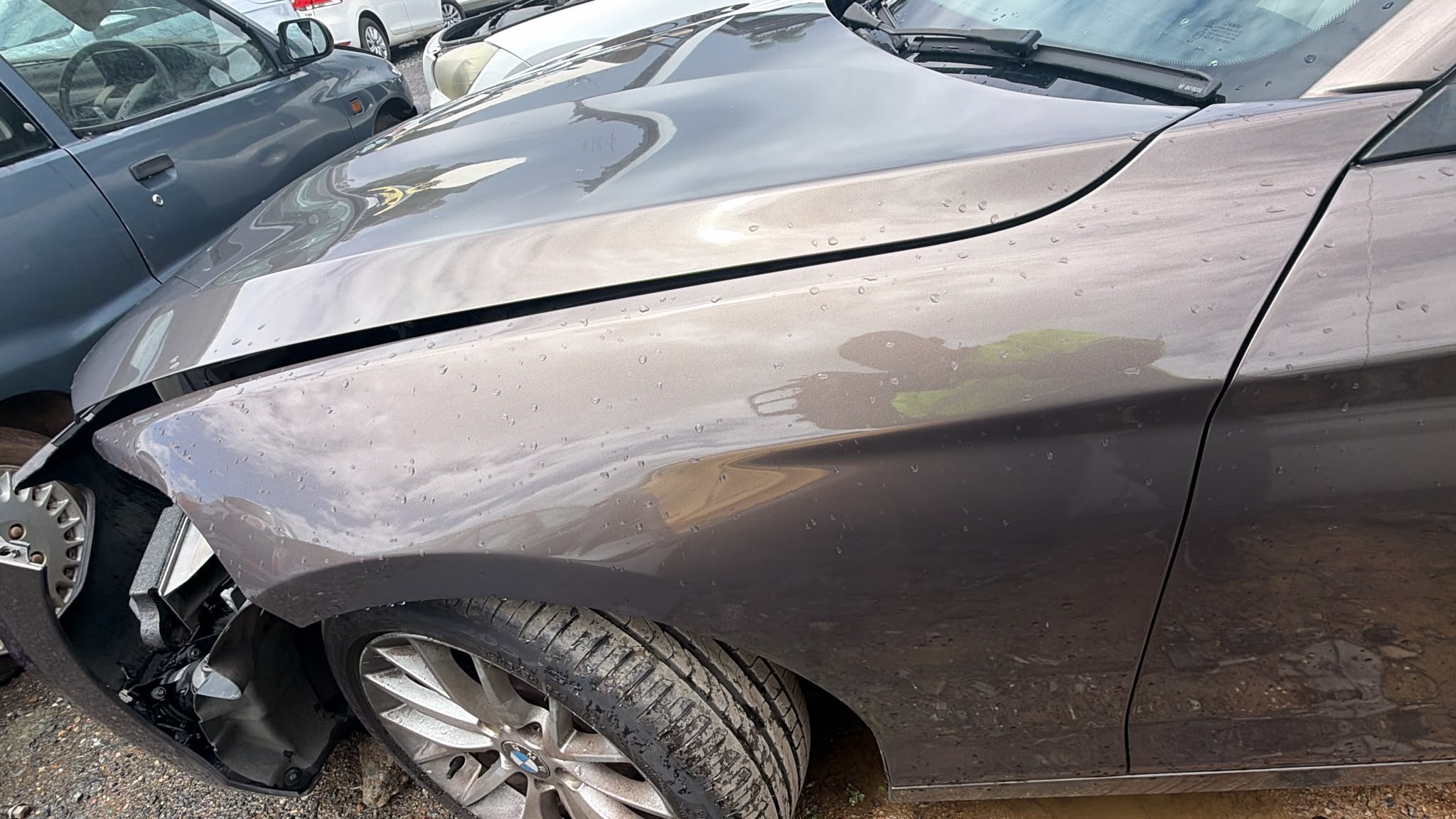 2013 BMW 118d L/H GUARD